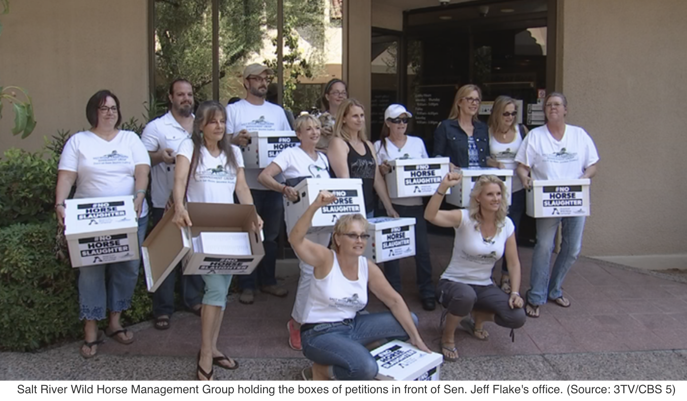Advocates of wild horses deliver 300,000 signature petition to Sen. Flake
