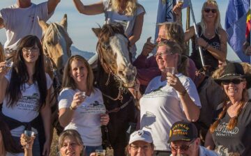 Salt River Wild Horses Protected By Law!