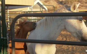 Happy Endings: Nakota and Old Lady part 1