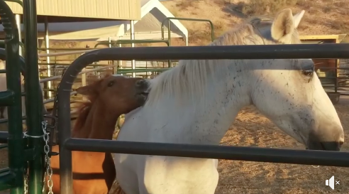 Happy Endings: Nakota and Old Lady part 1