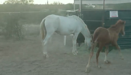 Happy Endings: Nakota and Old Lady part 2