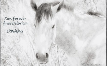 What is Humane Management?