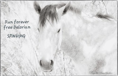 What is Humane Management?