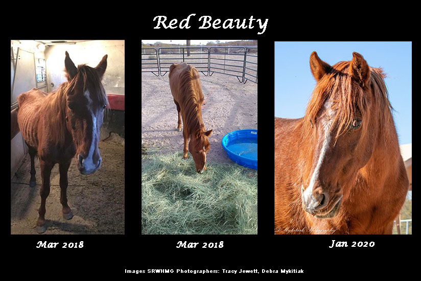 sponsor red beauty srwhmg