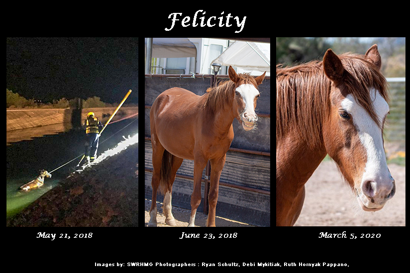 sponsor felicity srwhmg