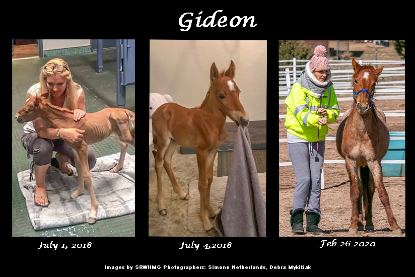 sponsor Gideon SRWHMG
