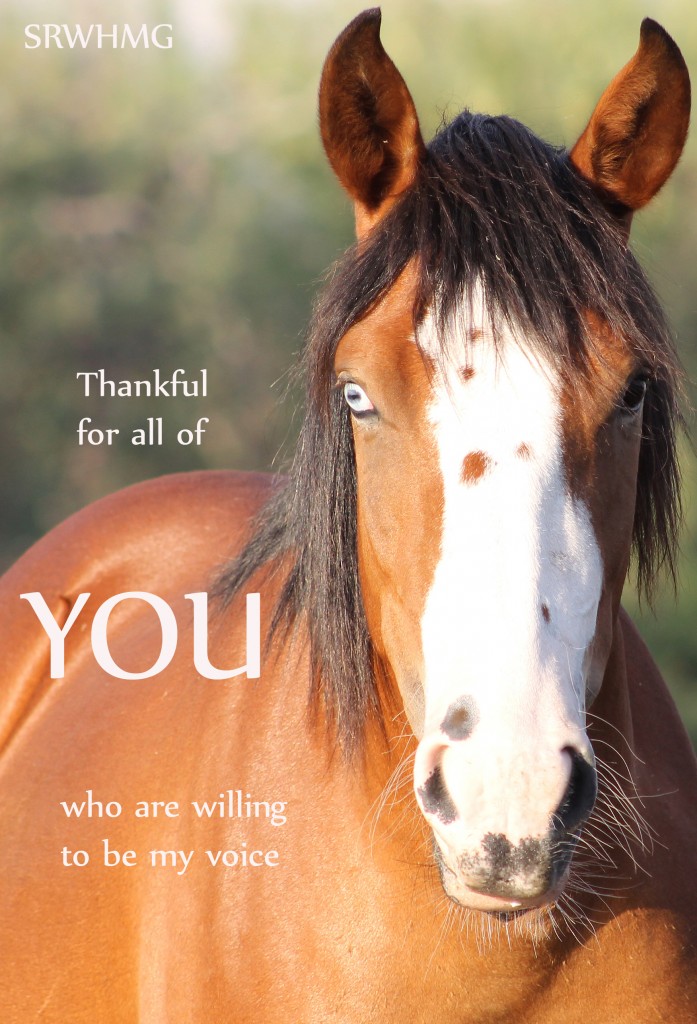 thanksgiving-697x1024