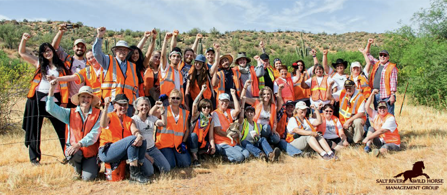 volunteer to rescue horses