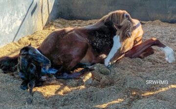 Felicity Just Had Her Baby!