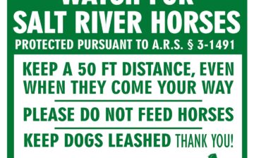 SRWHMG Sets Precedent Humanely Managing Wild Horses