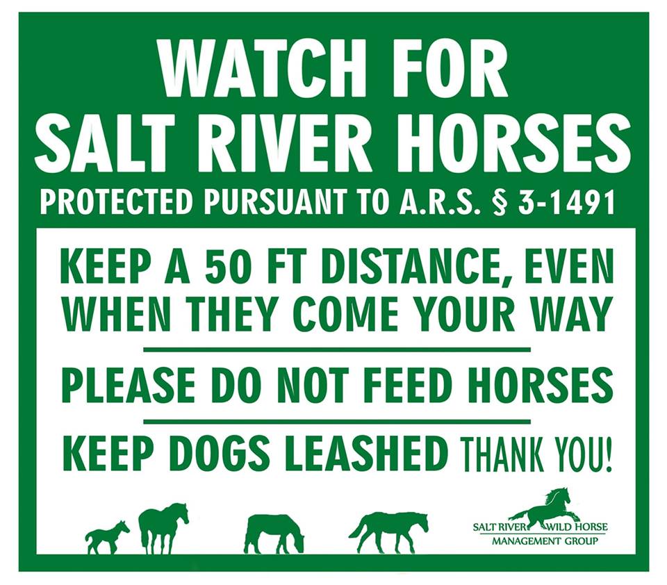 Fundraiser to Protect the Horses