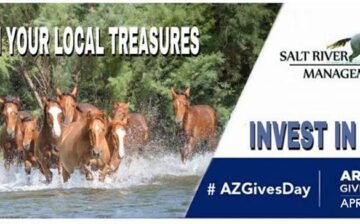 Today is AZ gives Day!