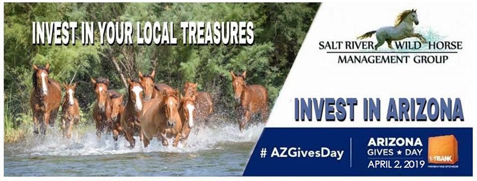 Today is AZ gives Day!