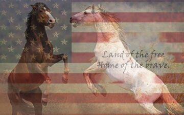 Share For the 4th of July!