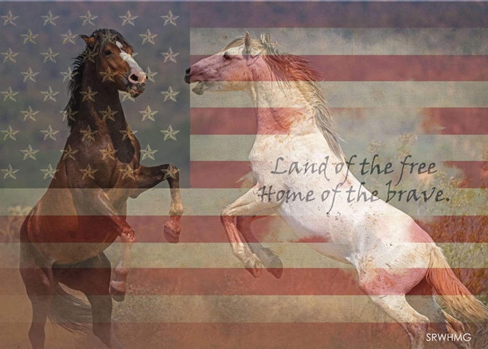 Share For the 4th of July!