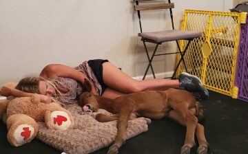 Lost/Abandoned Foal Policy (Update: We have another one!)