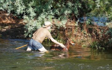 River Rescue