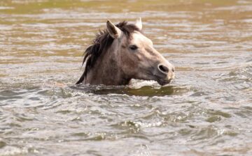 Ever feel like you are just trying to keep your head above water?