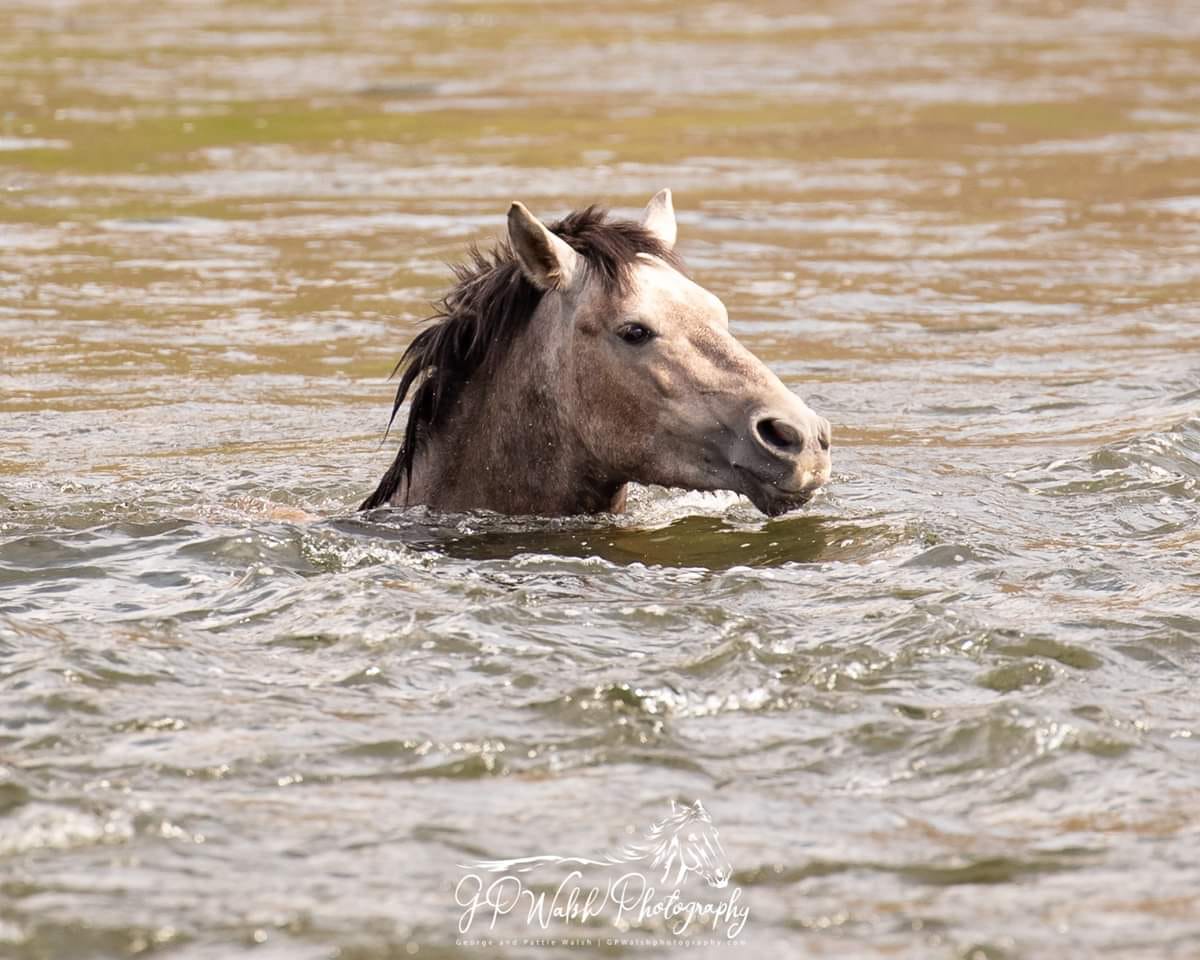 Ever feel like you are just trying to keep your head above water?