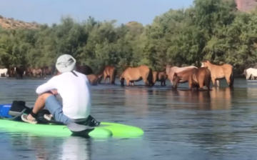 Paddling with the ponies!