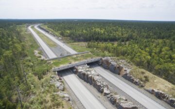 It’s been a long road on Bush Hwy.