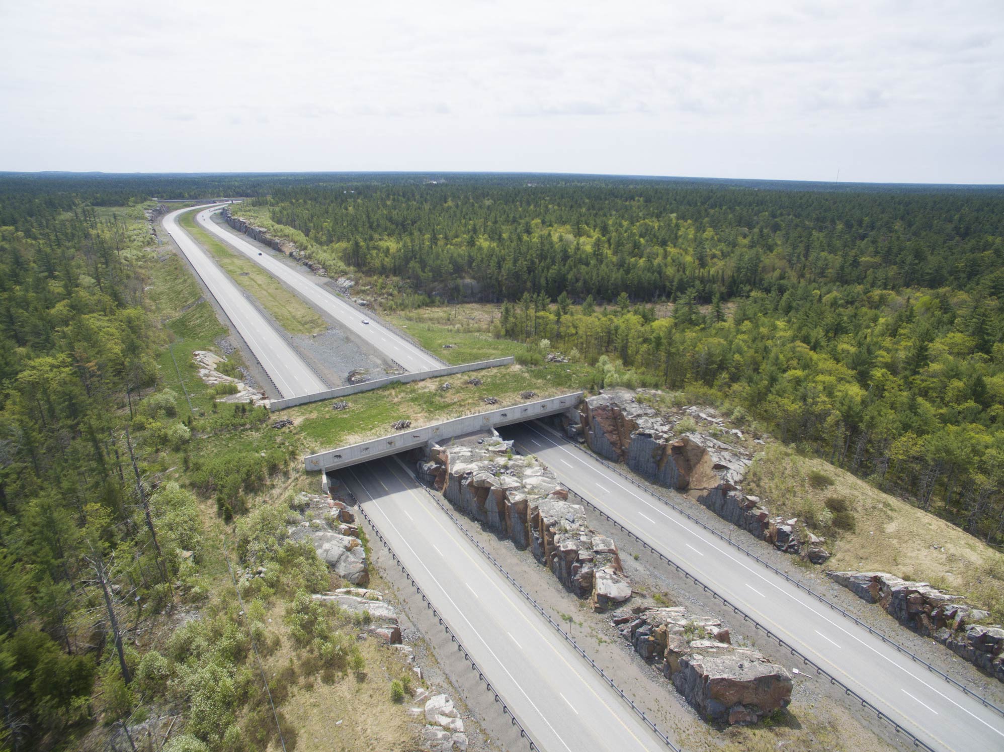 It’s been a long road on Bush Hwy.
