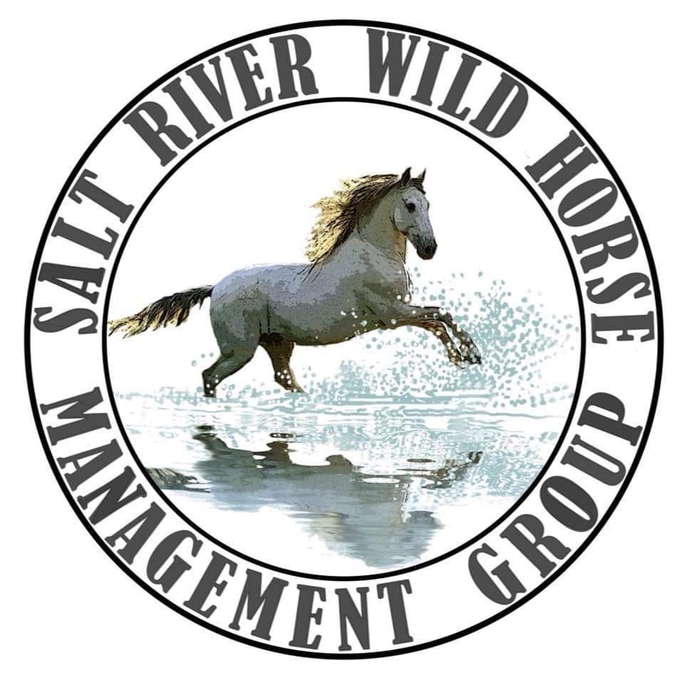 FOR IMMEDIATE RELEASE: Federal Court Allows Lawsuit Over Alpine Wild Horse Auctions to Move Forward