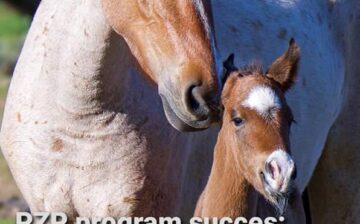 BREAKING: Fertility control is working!