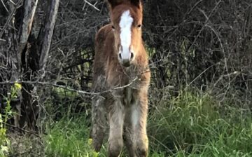 Born free on Valentine’s Day