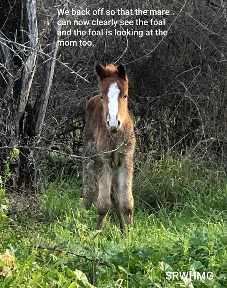Born free on Valentine’s Day