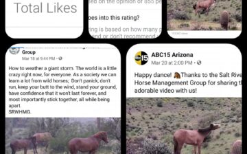 Happy 75,000 Likes!