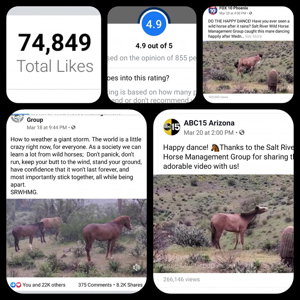 Happy 75,000 Likes!