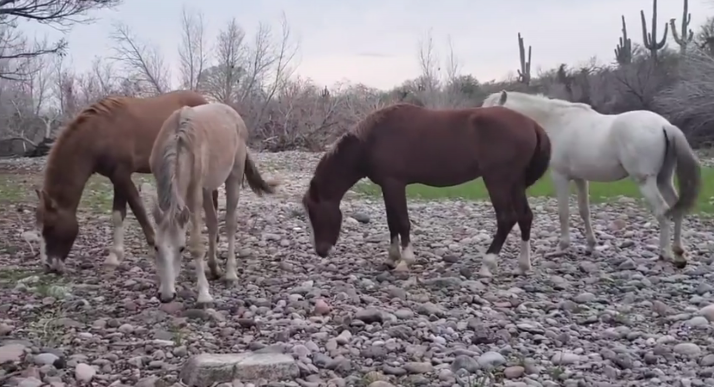 Getting by with a little help from his friends