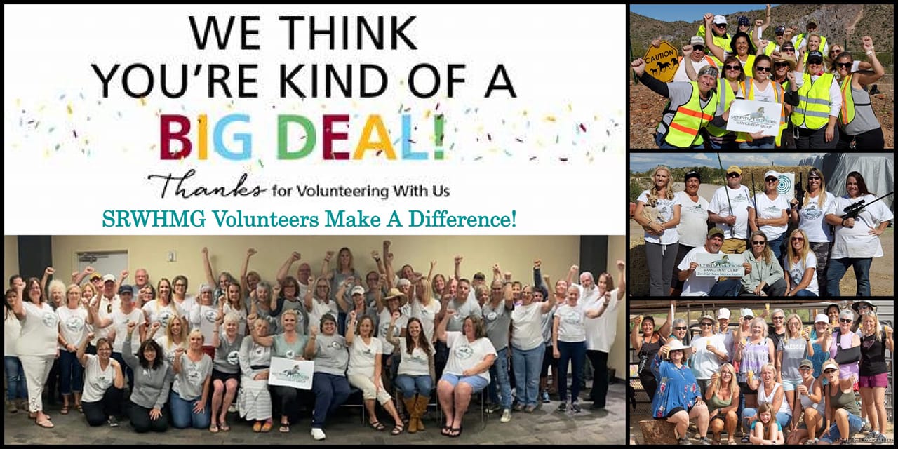 Happy National Volunteer Week!