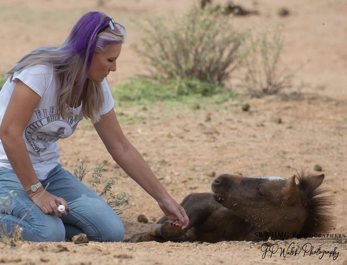 Accusations from… horse advocates??