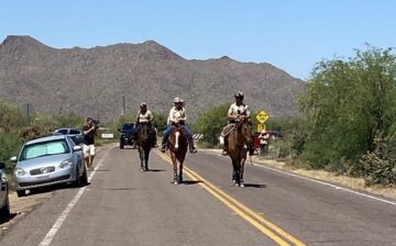 Rescued by the MCSO Lake Patrol Mounted Unit!