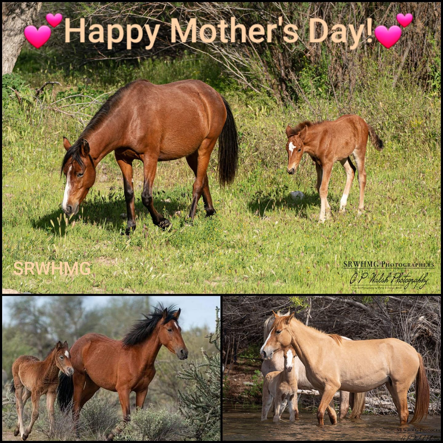 Happy Mother’s Day!