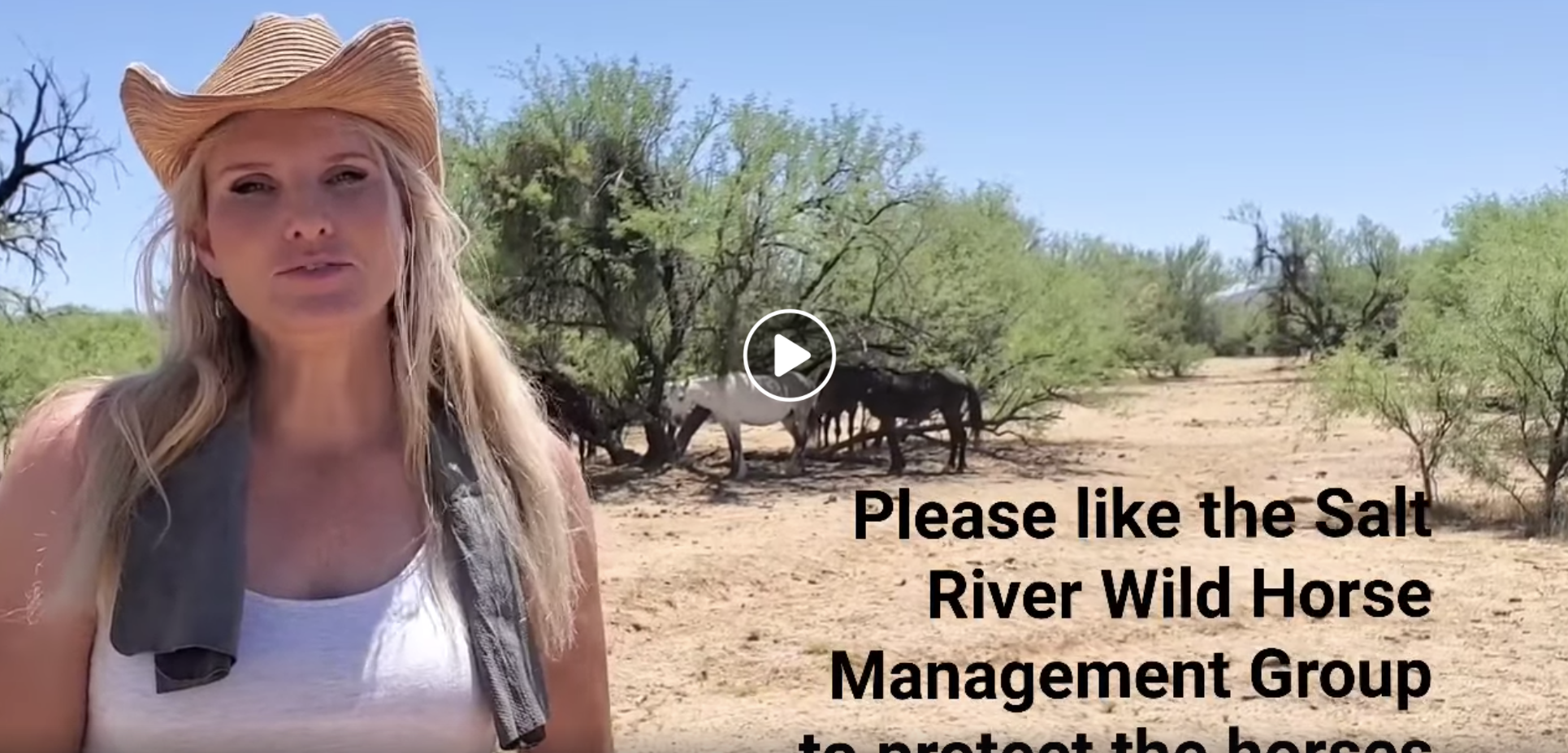 Respecting Wild Horses
