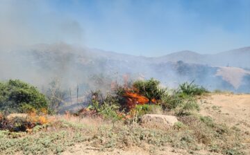 Forest Fire Contained @ Tonto National Forest