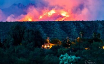 Incredible pictures of something so incredibly sad. 😪