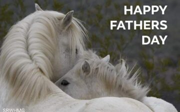 Happy Father’s Day!