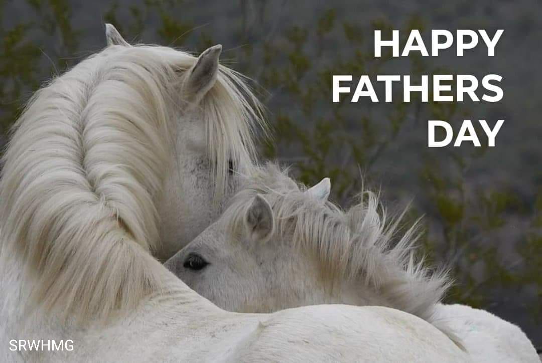 Happy Father’s Day!