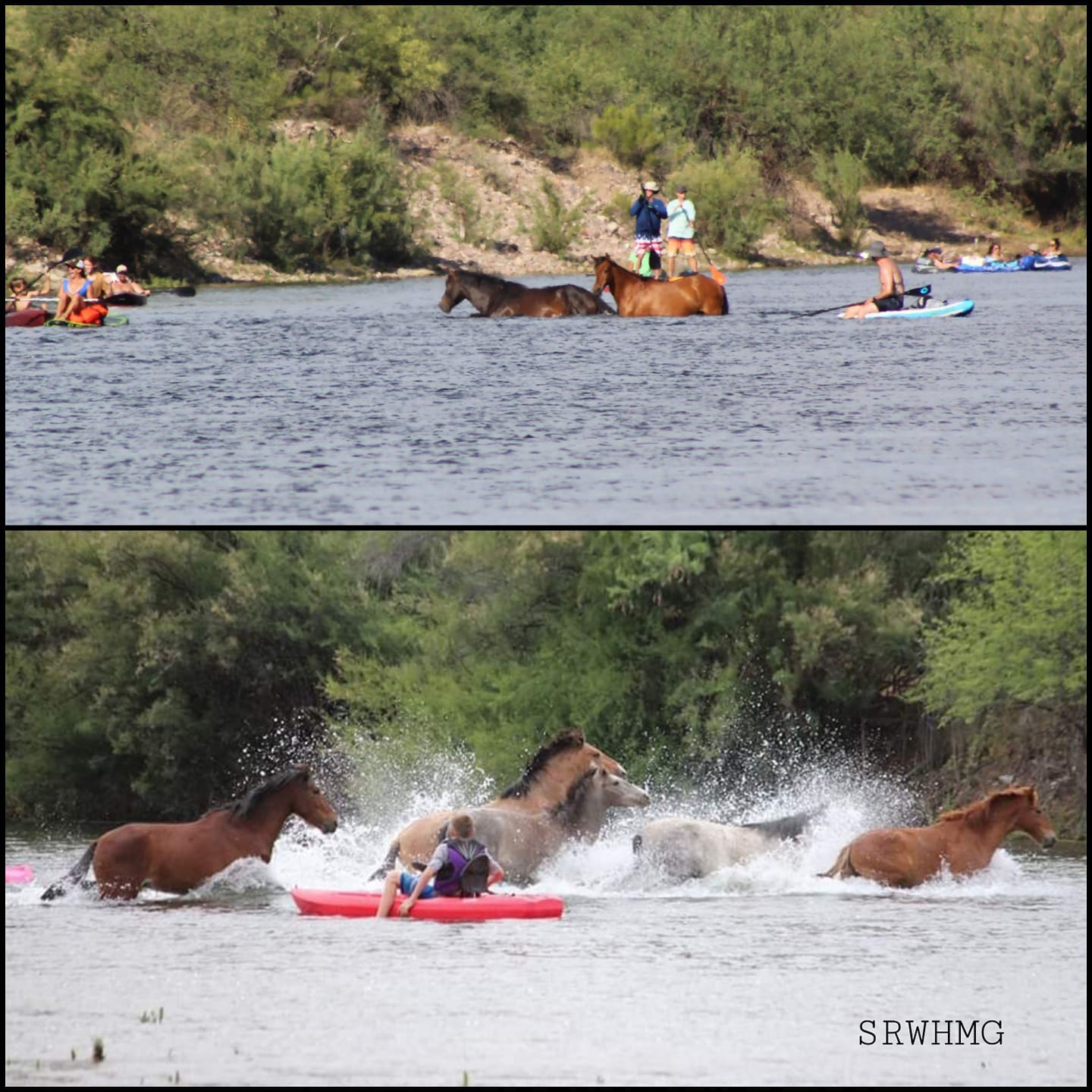ALERT: 110-112 degrees! Stay cool and be cool to wild horses.