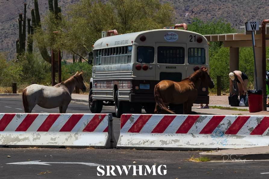 Hey bus driver, have room for two more?