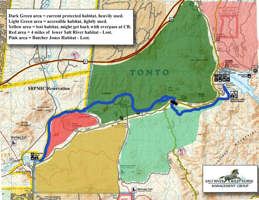 Salt River River Horse Habitat Explained