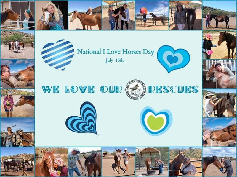 July 15th: I Love Horses Day!