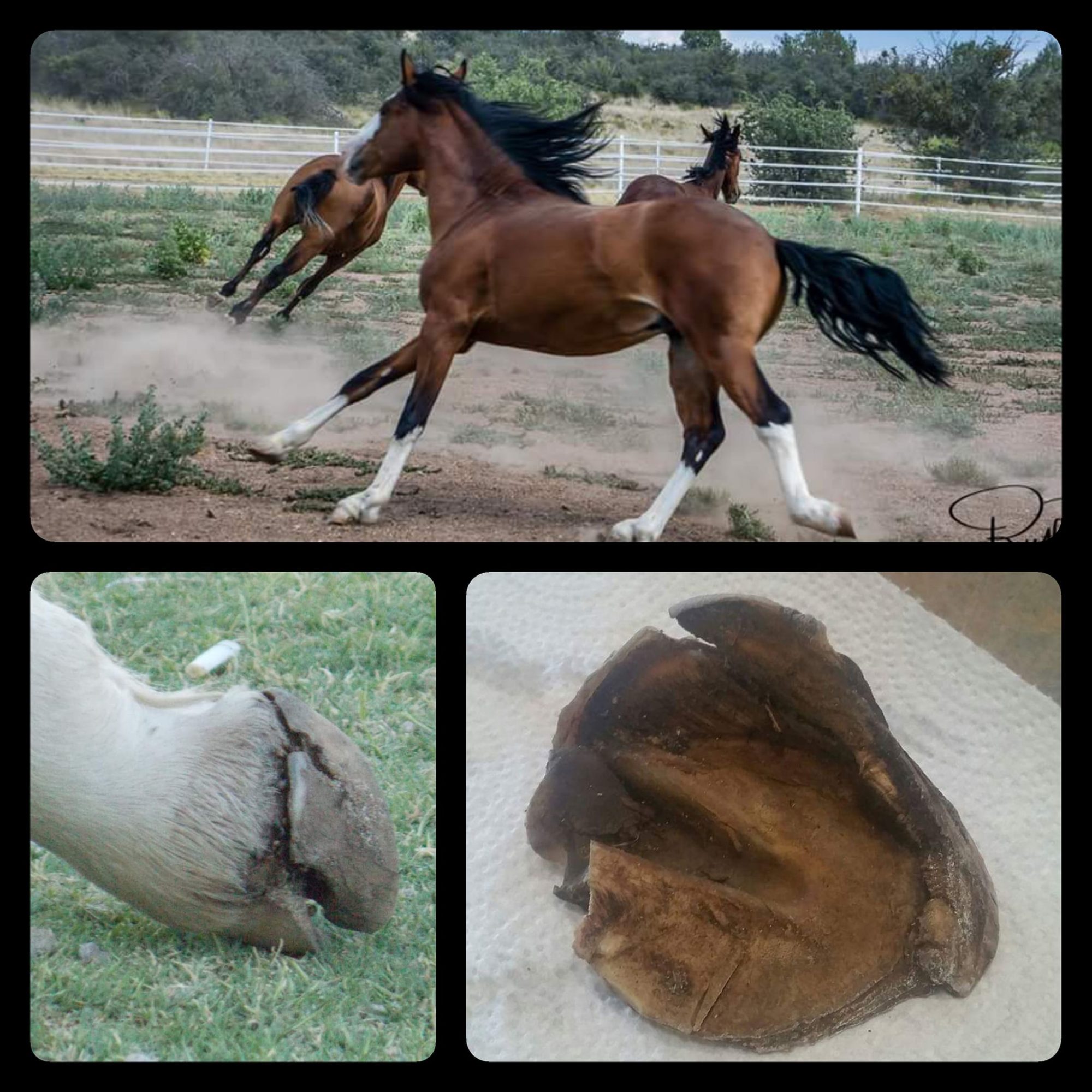 Diamond’s Success Story