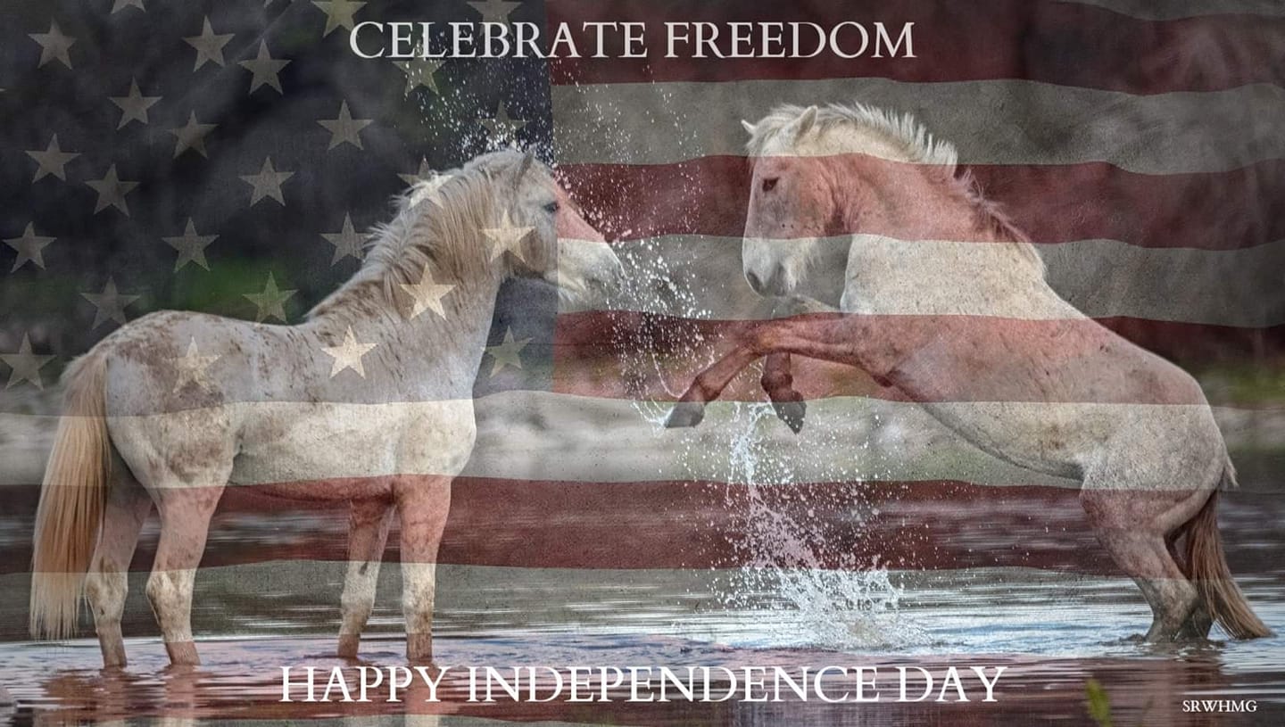 Happy Independence Day!