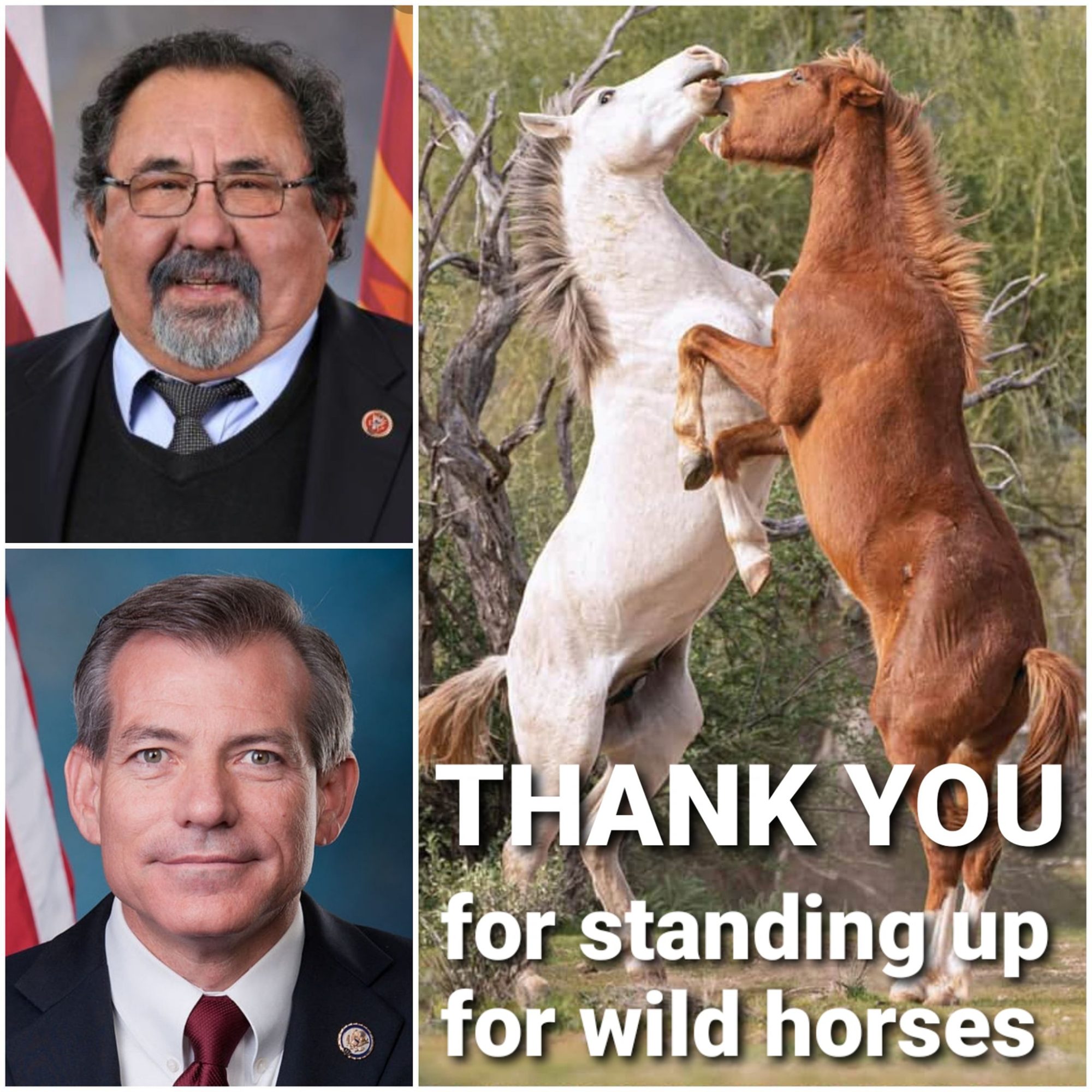 Thank you, Arizona lawmakers!