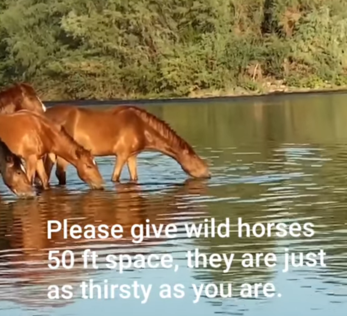 Thirsty? Extreme temperatures of 116F!